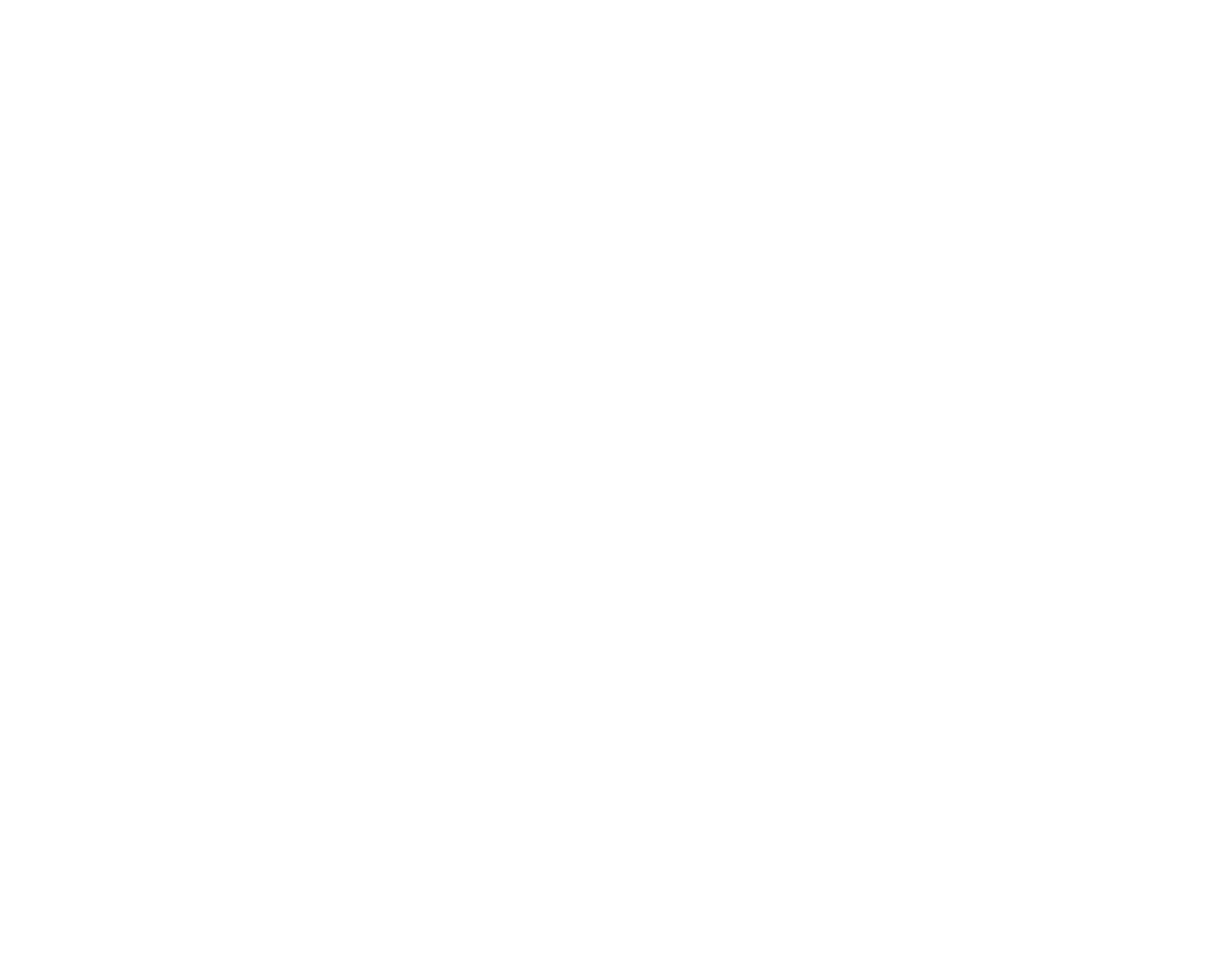 Nuoli Defence Logo